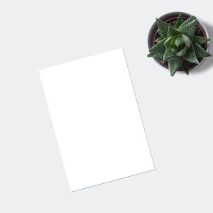 Instagram Marketing