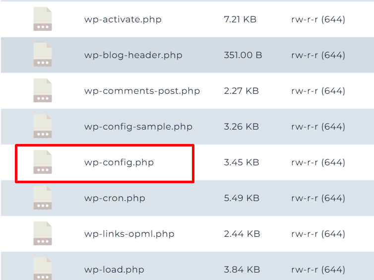 file wp config